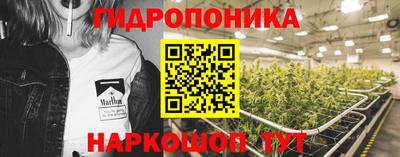 крисы Гусев
