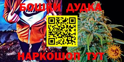 индика Гусиноозёрск