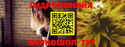 крисы Гусев