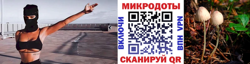 Галлюциногенные грибы Psilocybine cubensis  купить наркоту  Орск 